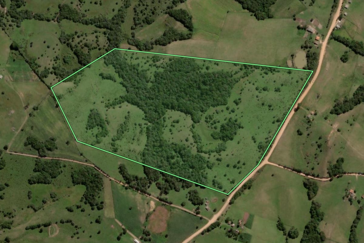 Imagem de satélite do imóvel rural em Canguçu (RS), com o contorno declarado no CAR desenhado por cima.