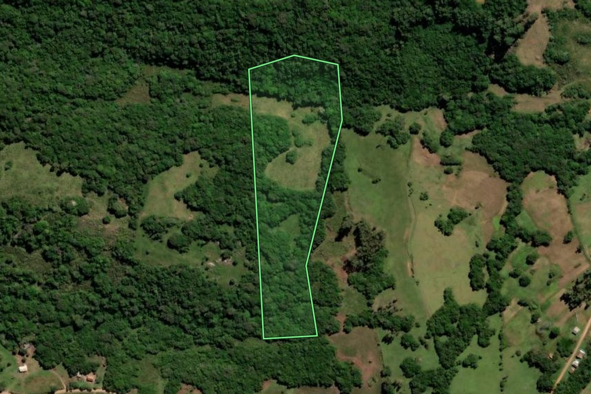 Imagem de satélite do imóvel rural em Canguçu (RS), com o contorno declarado no CAR desenhado por cima.
