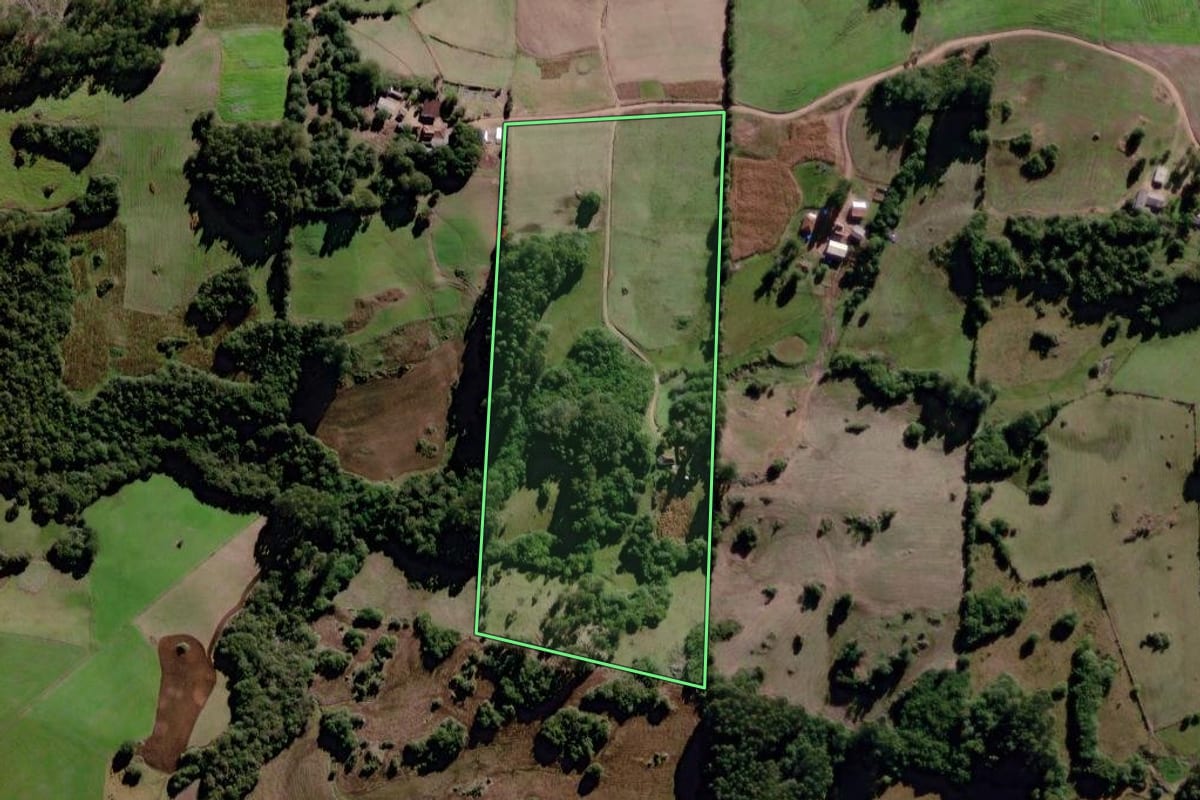 Imagem de satélite do imóvel rural em Canguçu (RS), com o contorno declarado no CAR desenhado por cima.