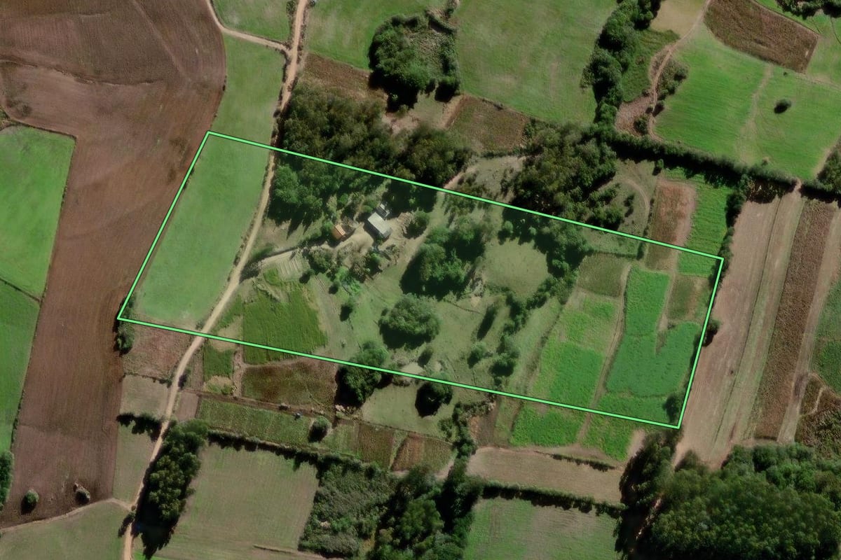 Imagem de satélite do imóvel rural em Canguçu (RS), com o contorno declarado no CAR desenhado por cima.
