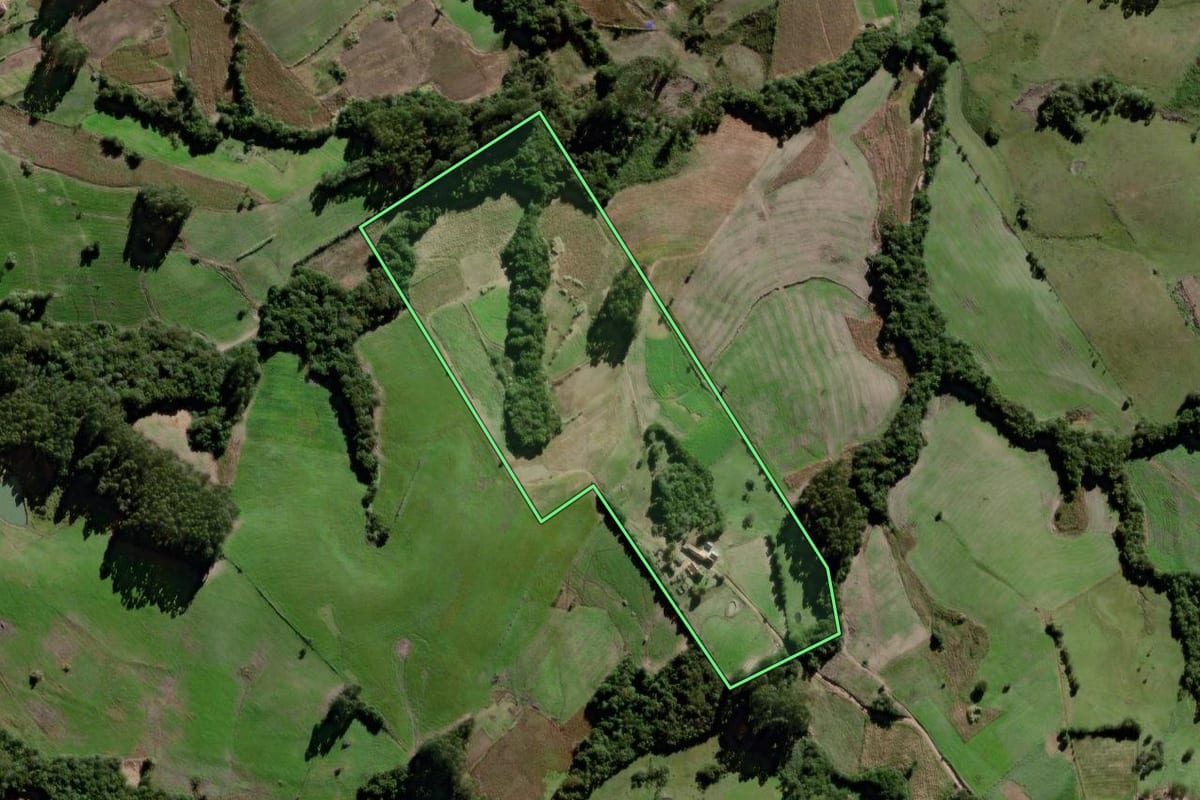 Imagem de satélite do imóvel rural em Canguçu (RS), com o contorno declarado no CAR desenhado por cima.