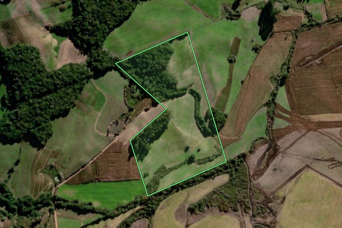 Imagem de satélite do imóvel rural em Canguçu (RS), com o contorno declarado no CAR desenhado por cima.
