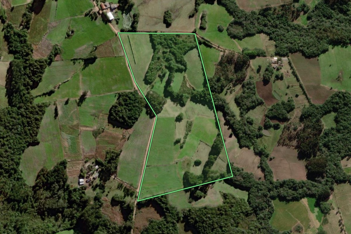Imagem de satélite do imóvel rural em Canguçu (RS), com o contorno declarado no CAR desenhado por cima.