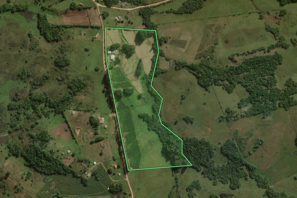 Imagem de satélite do imóvel rural em Canguçu (RS), com o contorno declarado no CAR desenhado por cima.