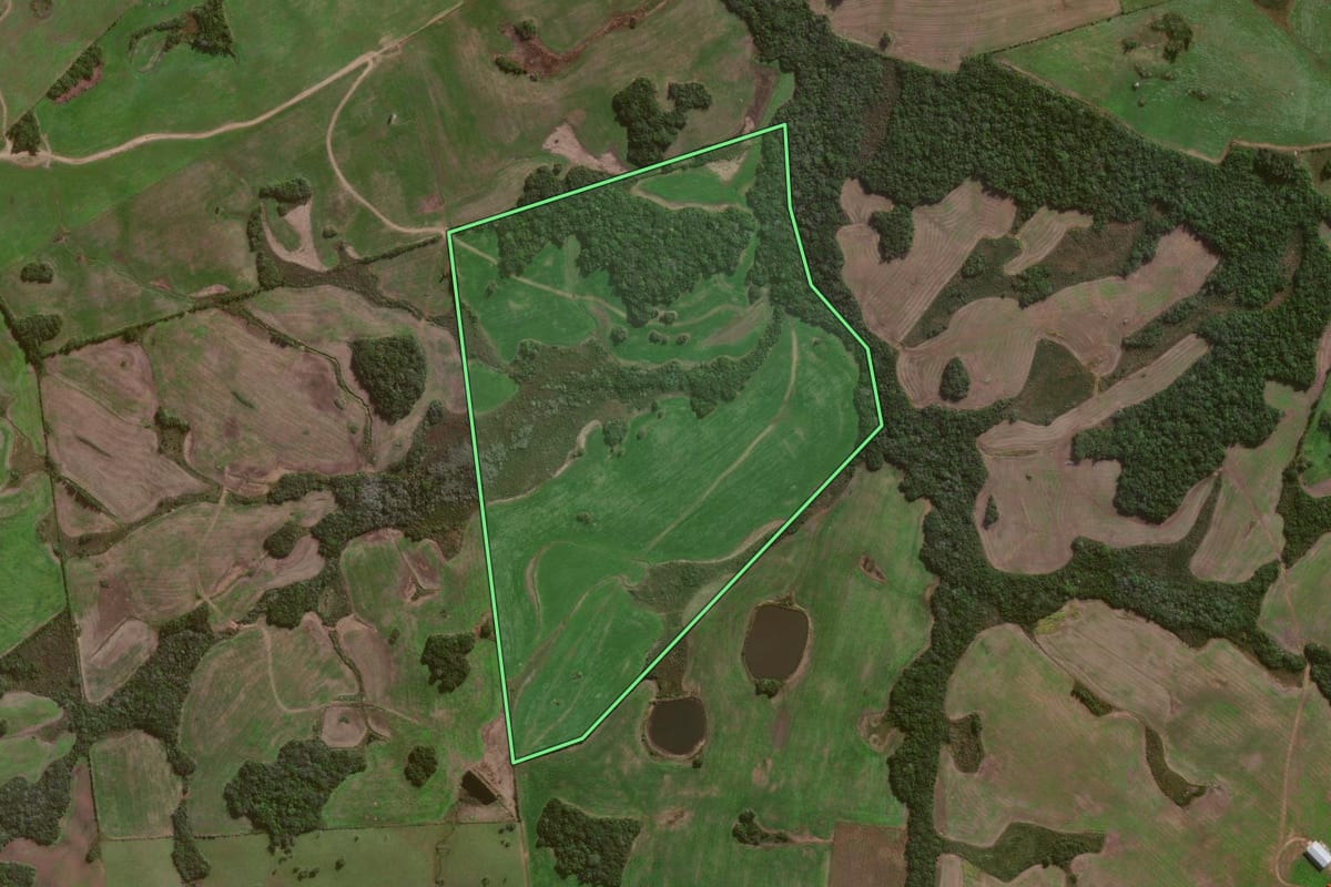 Imagem de satélite do imóvel rural em Canguçu (RS), com o contorno declarado no CAR desenhado por cima.