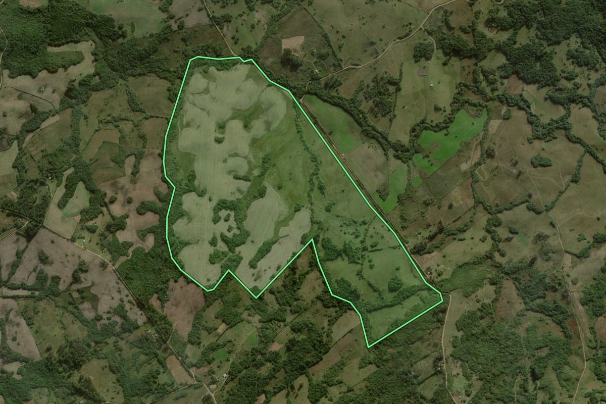 Imagem de satélite do imóvel rural em Canguçu (RS), com o contorno declarado no CAR desenhado por cima.