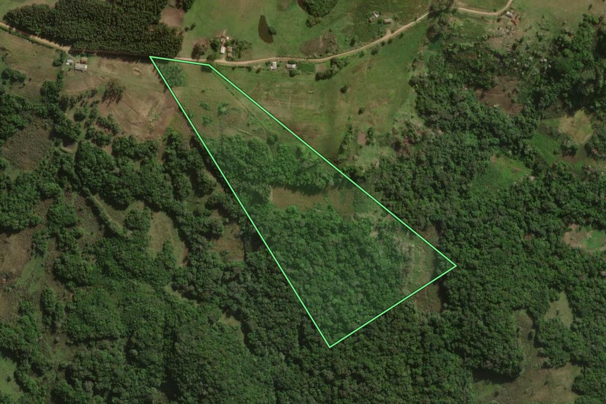 Imagem de satélite do imóvel rural em Canguçu (RS), com o contorno declarado no CAR desenhado por cima.