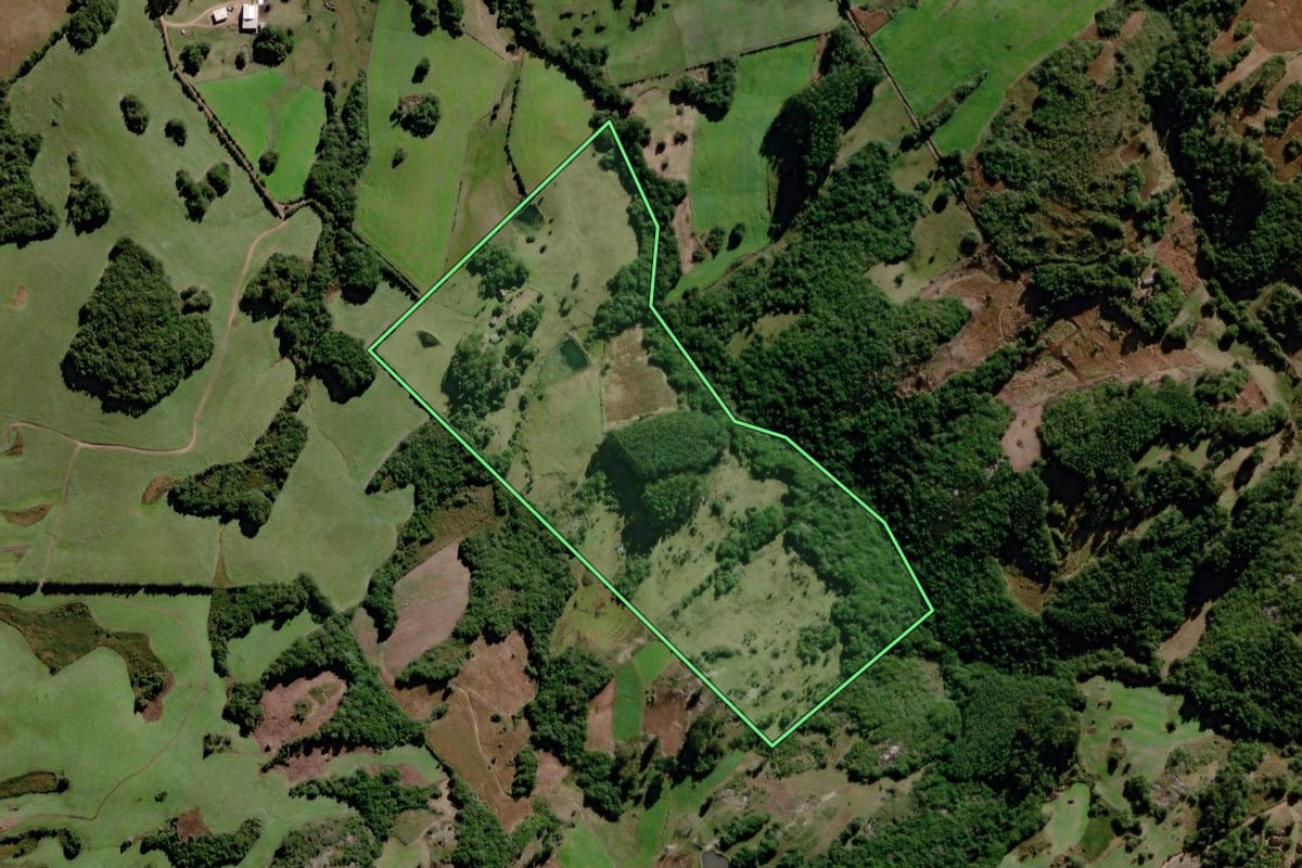 Imagem de satélite do imóvel rural em Canguçu (RS), com o contorno declarado no CAR desenhado por cima.