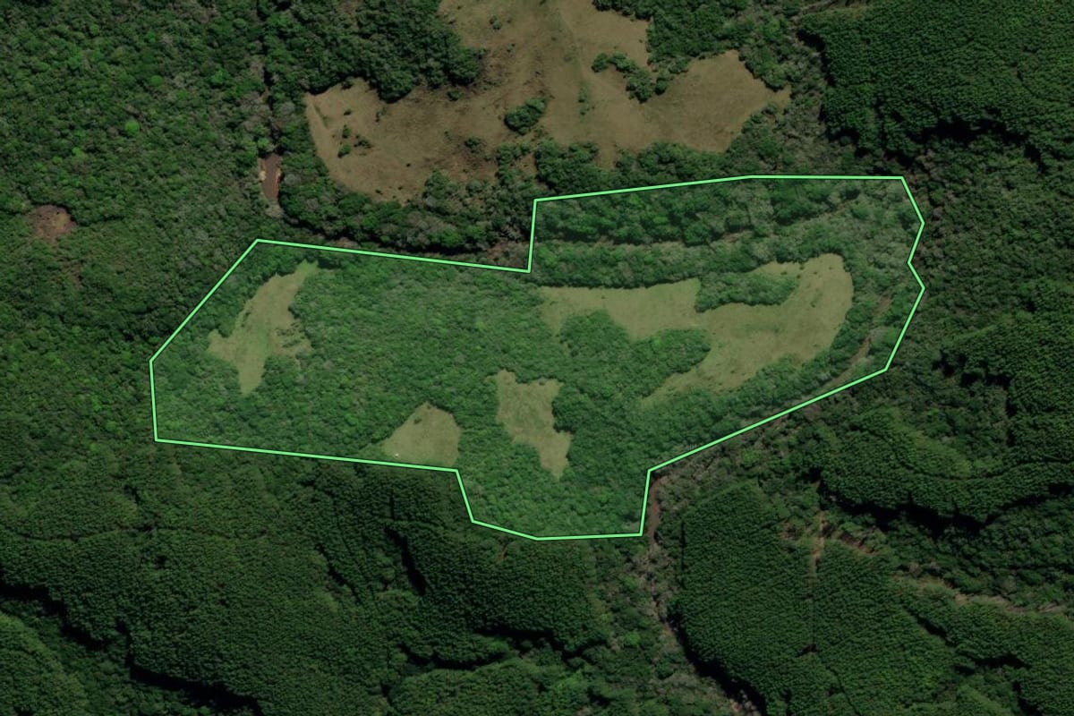 Imagem de satélite do imóvel rural em Canguçu (RS), com o contorno declarado no CAR desenhado por cima.