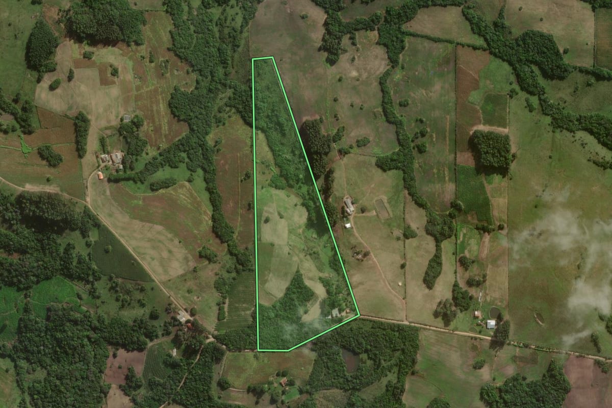 Imagem de satélite do imóvel rural em Canguçu (RS), com o contorno declarado no CAR desenhado por cima.