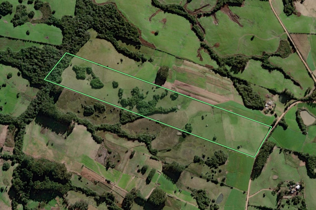 Imagem de satélite do imóvel rural em Canguçu (RS), com o contorno declarado no CAR desenhado por cima.