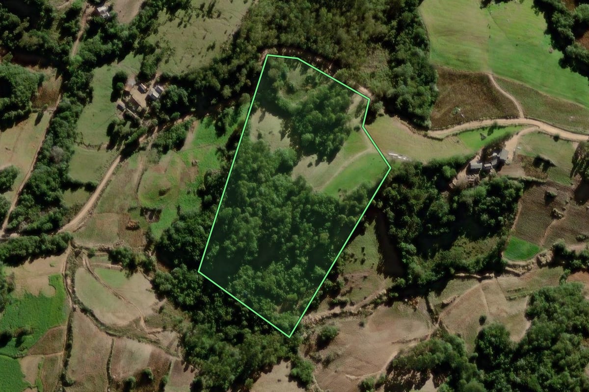 Imagem de satélite do imóvel rural em Canguçu (RS), com o contorno declarado no CAR desenhado por cima.