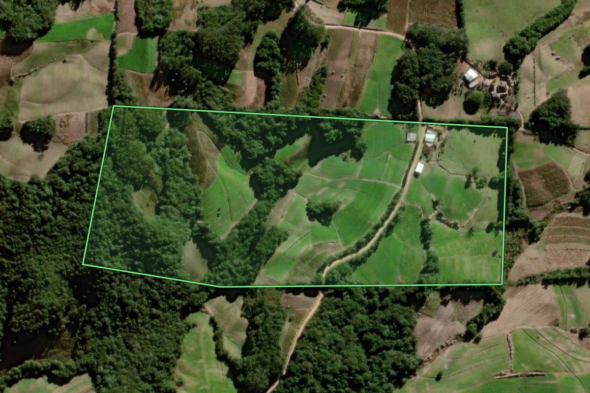 Imagem de satélite do imóvel rural em Canguçu (RS), com o contorno declarado no CAR desenhado por cima.