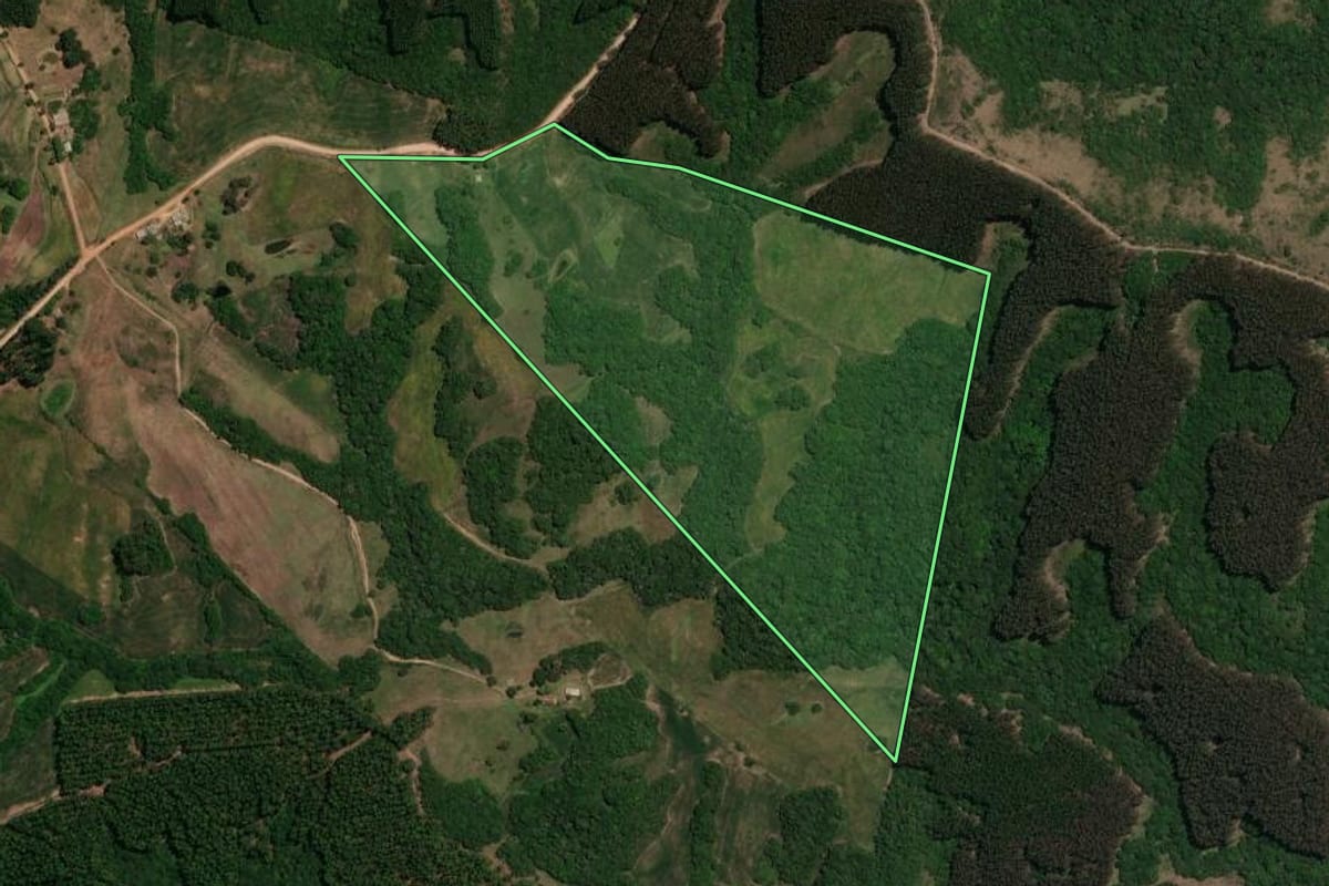 Imagem de satélite do imóvel rural em Canguçu (RS), com o contorno declarado no CAR desenhado por cima.