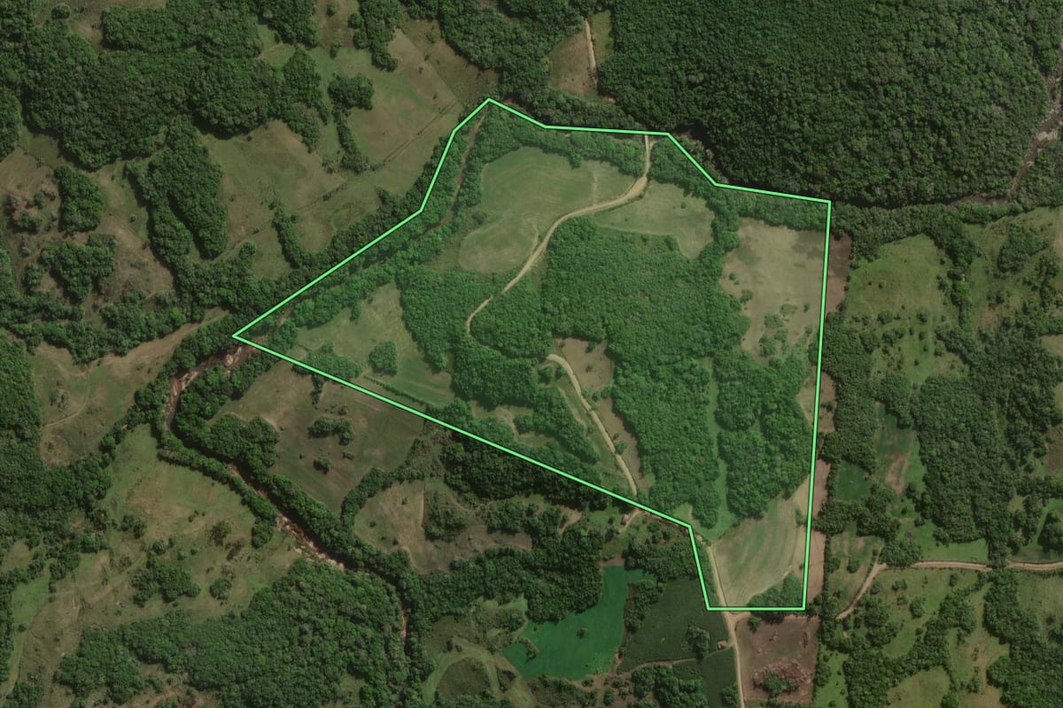 Imagem de satélite do imóvel rural em Canguçu (RS), com o contorno declarado no CAR desenhado por cima.