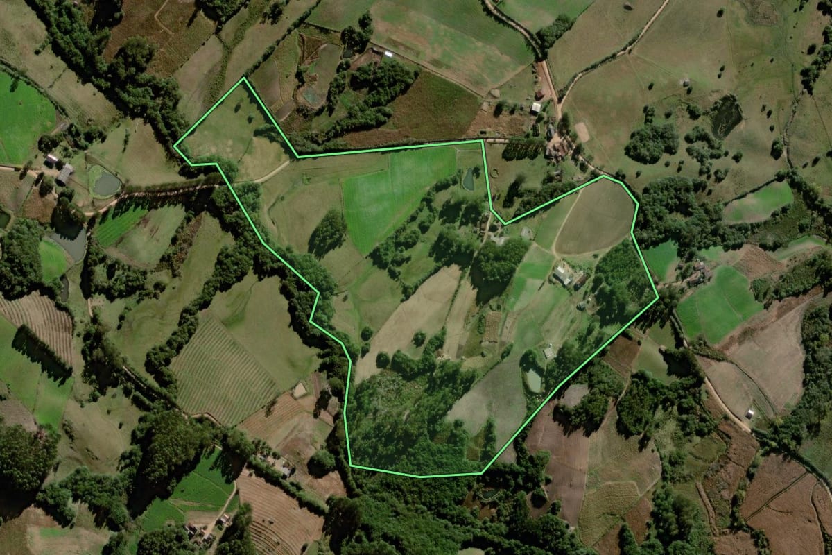 Imagem de satélite do imóvel rural em Canguçu (RS), com o contorno declarado no CAR desenhado por cima.
