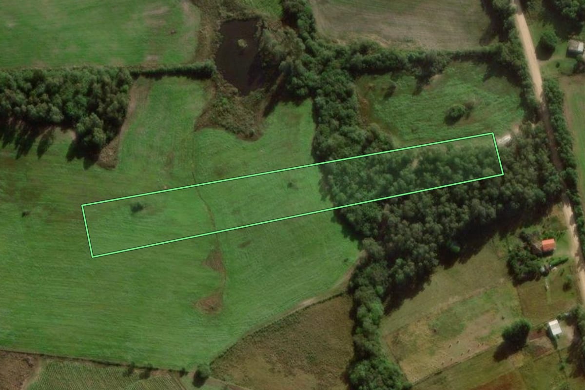 Imagem de satélite do imóvel rural em Canguçu (RS), com o contorno declarado no CAR desenhado por cima.