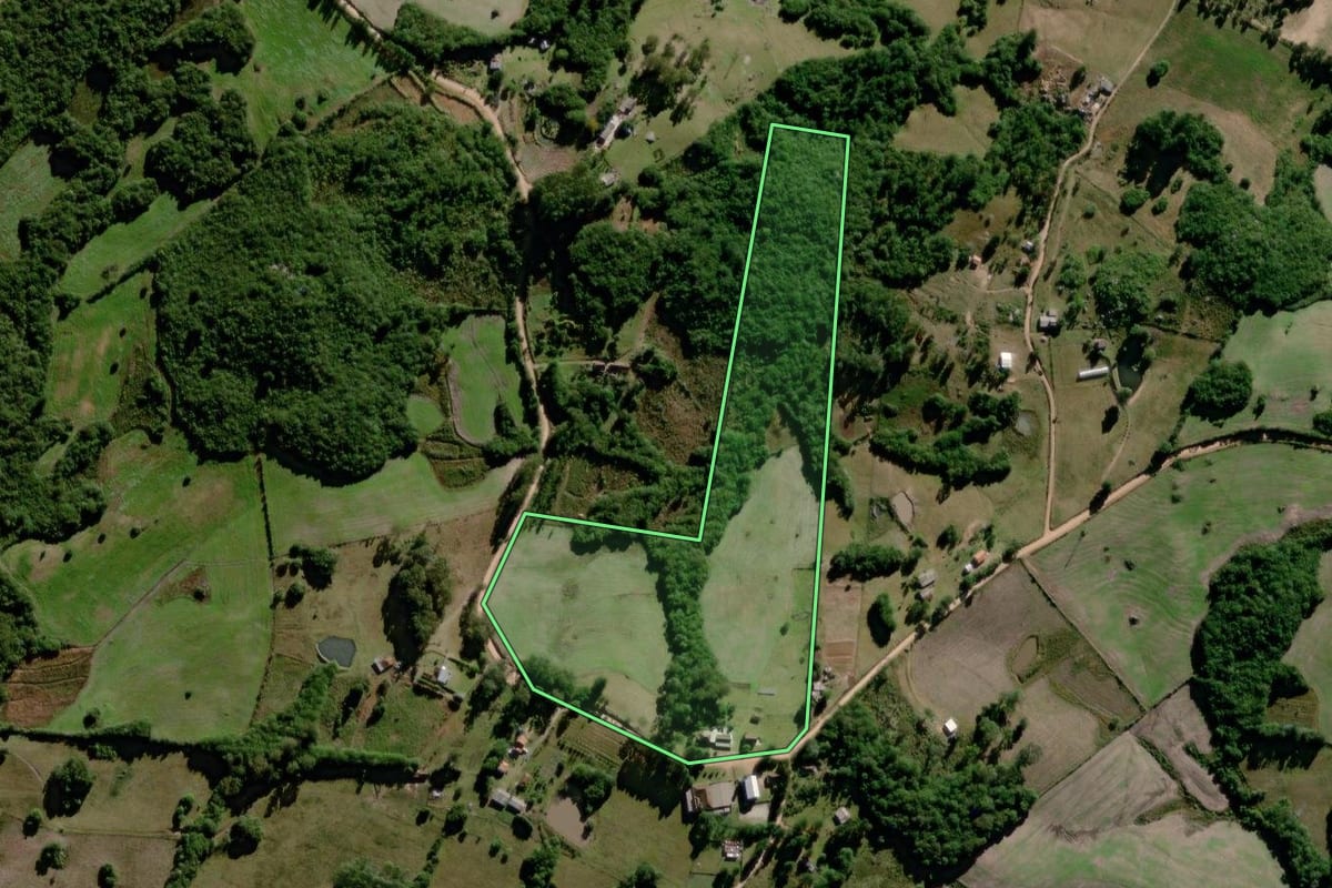 Imagem de satélite do imóvel rural em Canguçu (RS), com o contorno declarado no CAR desenhado por cima.