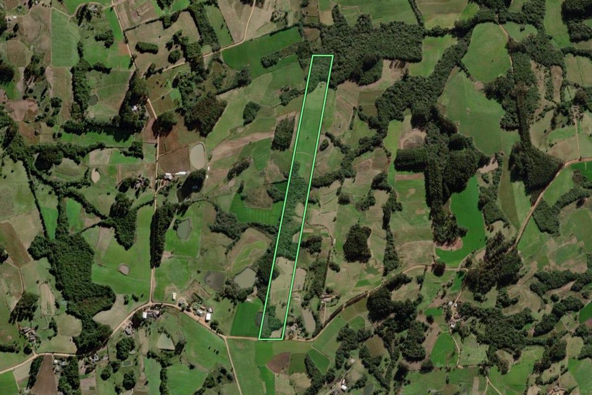 Imagem de satélite do imóvel rural em Canguçu (RS), com o contorno declarado no CAR desenhado por cima.