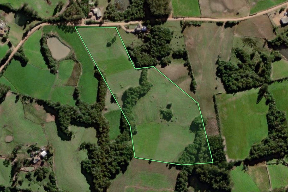 Imagem de satélite do imóvel rural em Canguçu (RS), com o contorno declarado no CAR desenhado por cima.