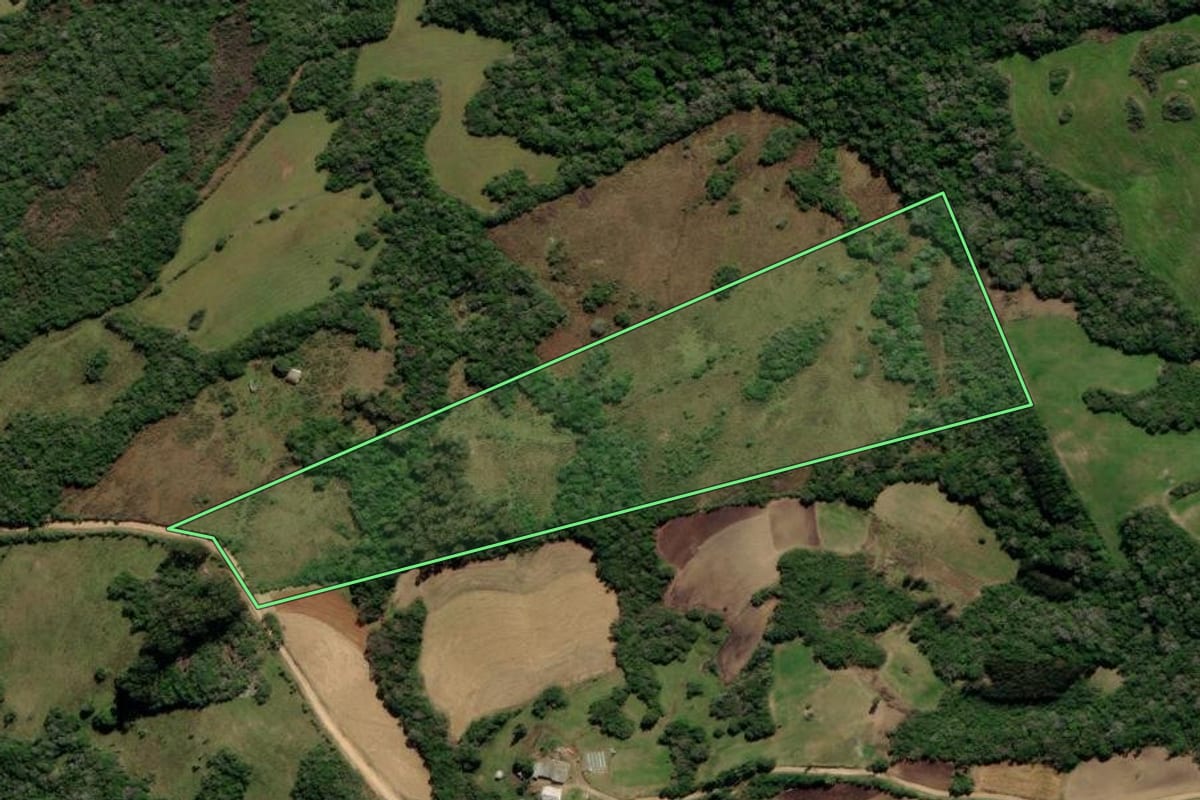 Imagem de satélite do imóvel rural em Canguçu (RS), com o contorno declarado no CAR desenhado por cima.