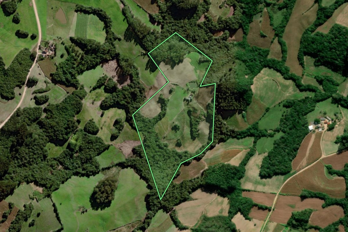 Imagem de satélite do imóvel rural em Canguçu (RS), com o contorno declarado no CAR desenhado por cima.