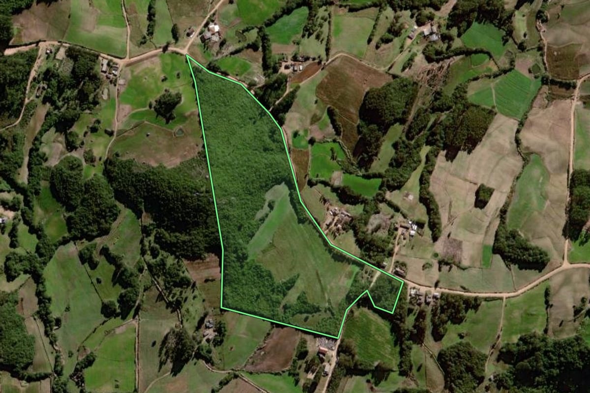 Imagem de satélite do imóvel rural em Canguçu (RS), com o contorno declarado no CAR desenhado por cima.