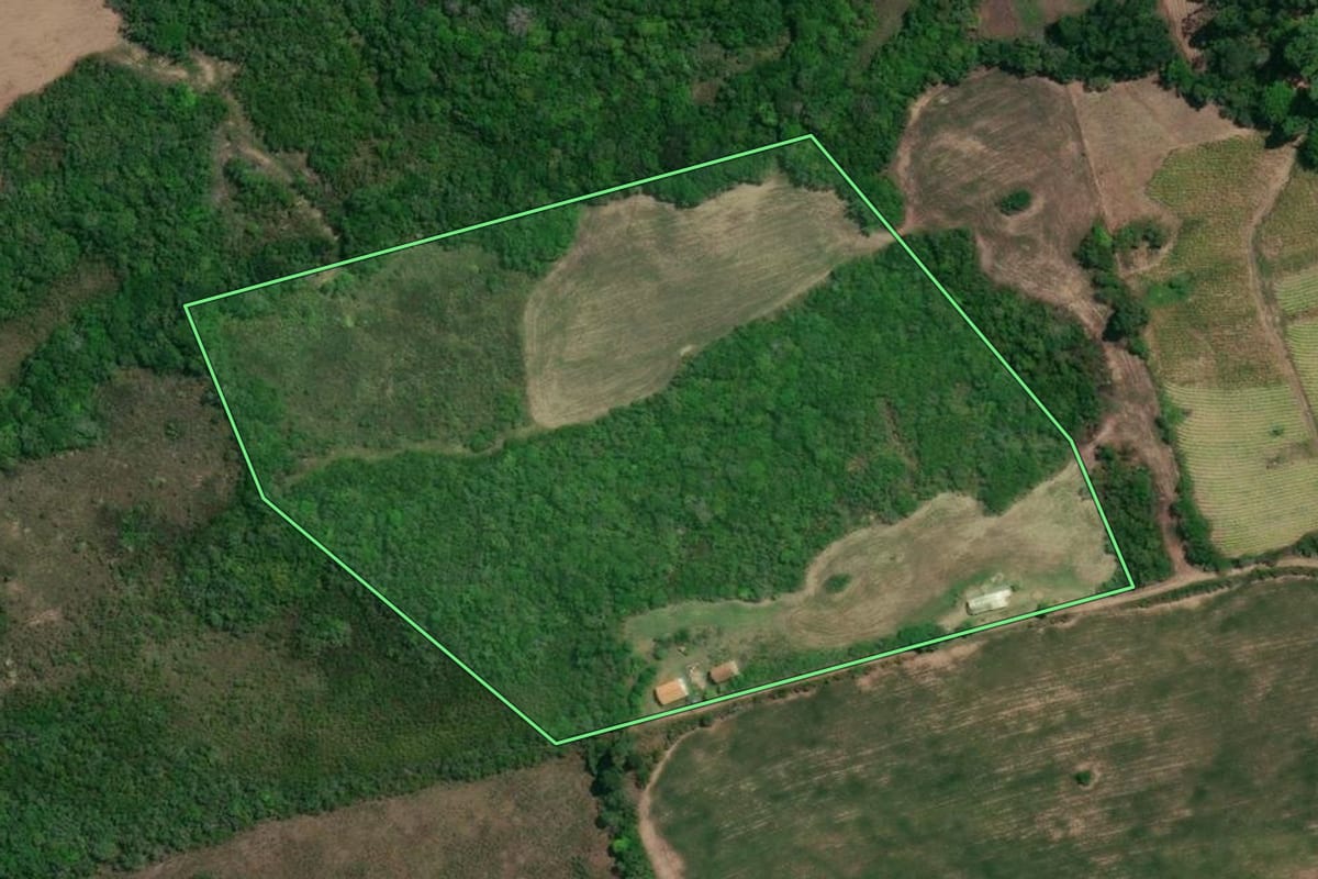 Imagem de satélite do imóvel rural em Canguçu (RS), com o contorno declarado no CAR desenhado por cima.