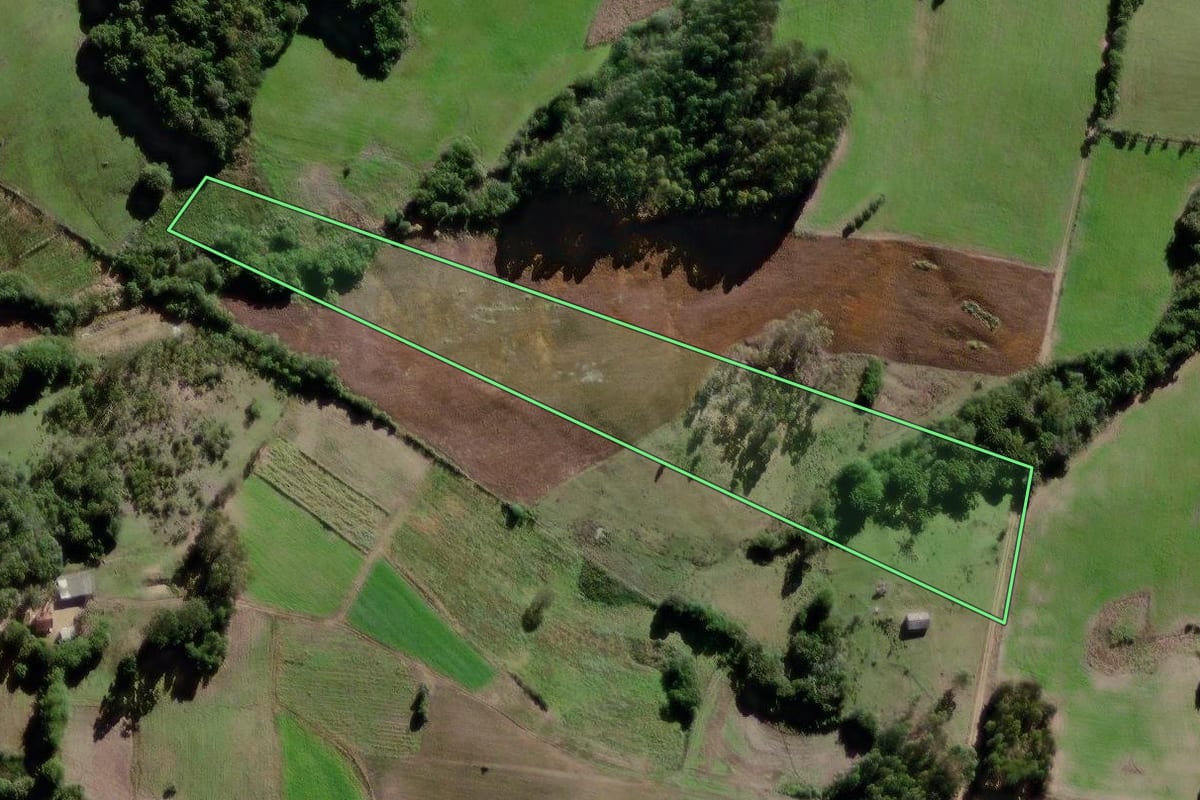 Imagem de satélite do imóvel rural em Canguçu (RS), com o contorno declarado no CAR desenhado por cima.