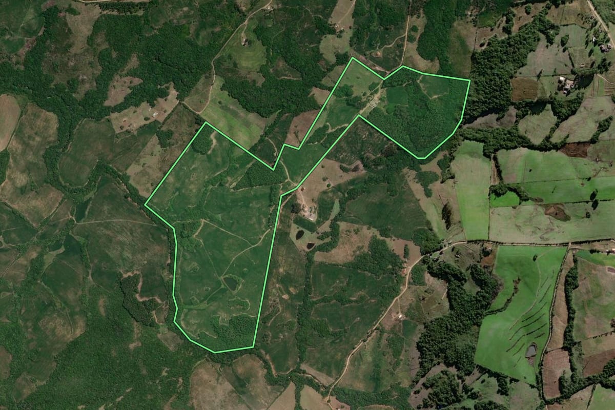 Imagem de satélite do imóvel rural em Canguçu (RS), com o contorno declarado no CAR desenhado por cima.