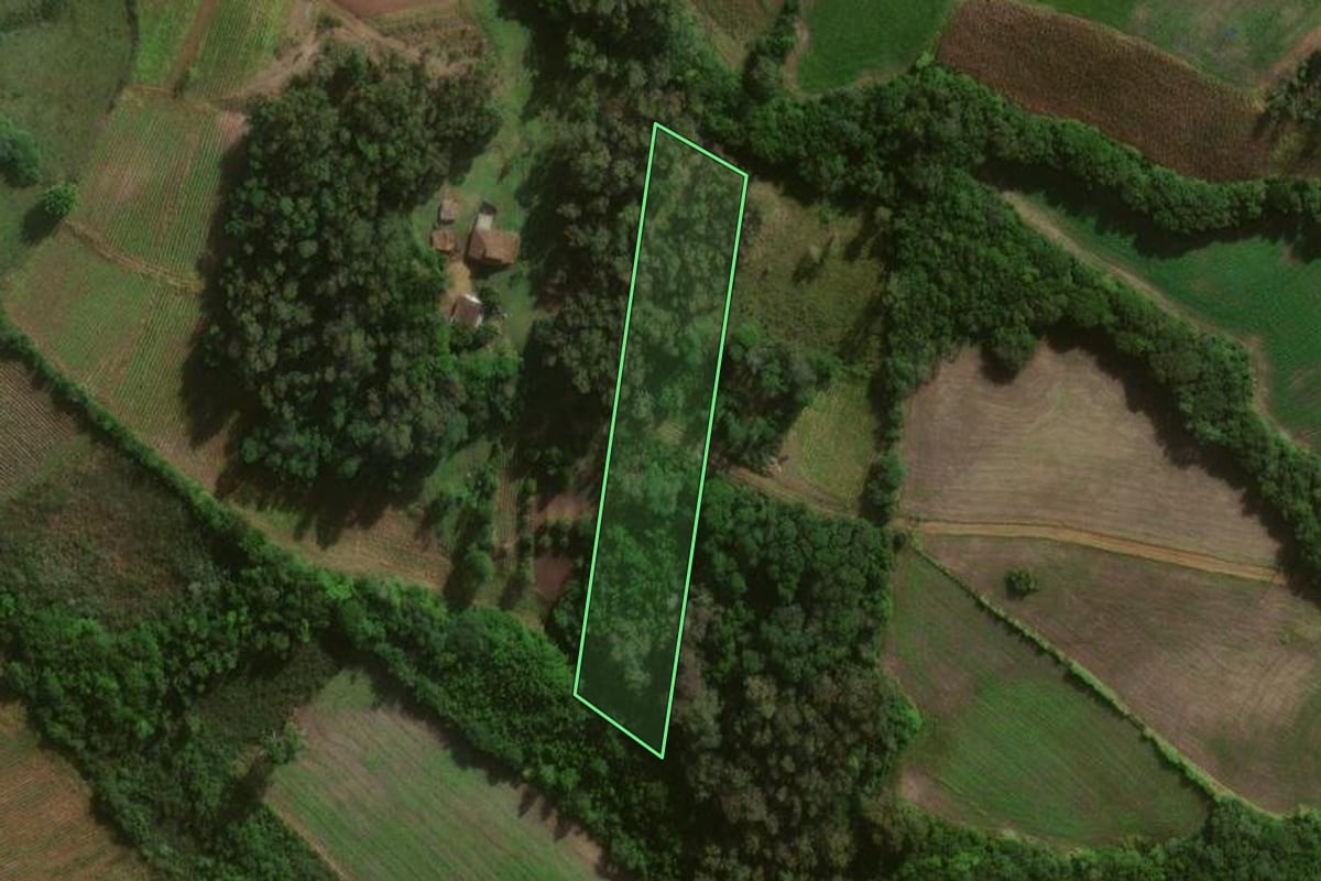 Imagem de satélite do imóvel rural em Canguçu (RS), com o contorno declarado no CAR desenhado por cima.