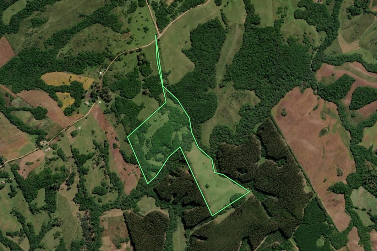 Imagem de satélite do imóvel rural em Canguçu (RS), com o contorno declarado no CAR desenhado por cima.