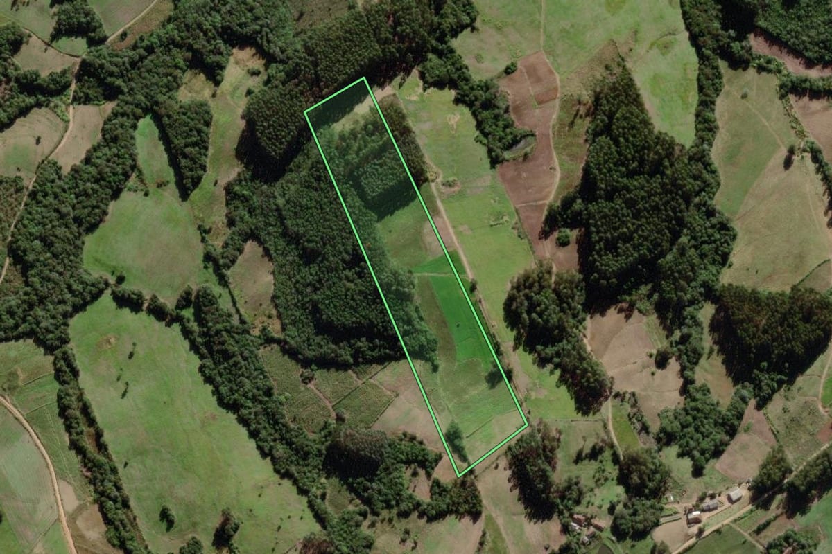 Imagem de satélite do imóvel rural em Canguçu (RS), com o contorno declarado no CAR desenhado por cima.