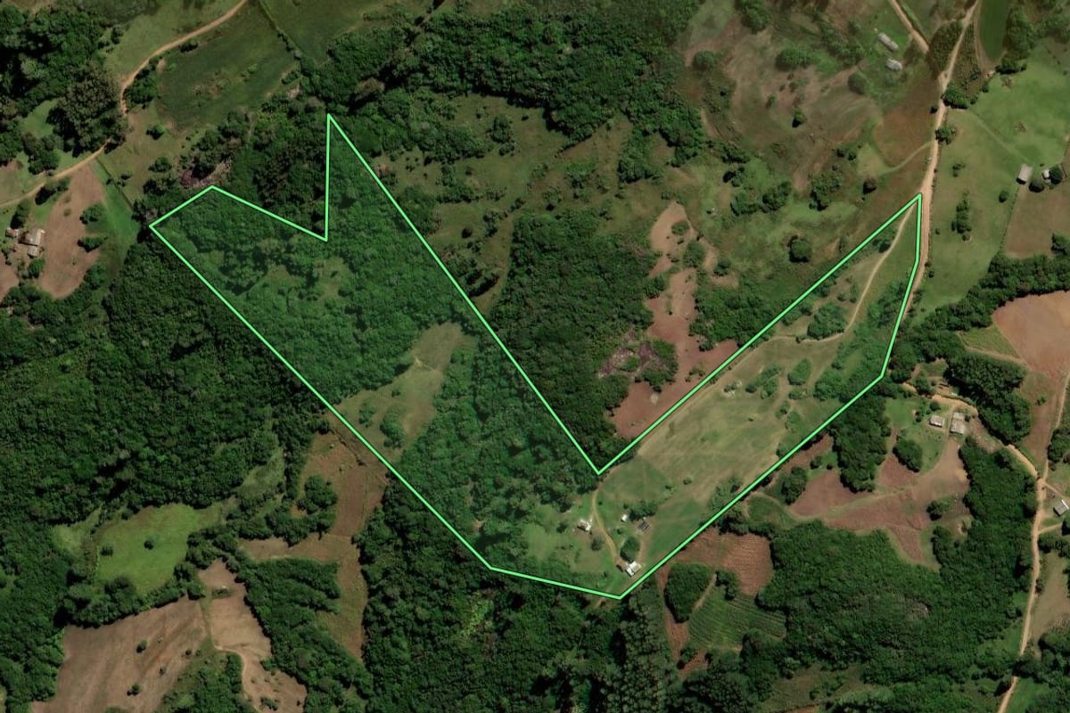 Imagem de satélite do imóvel rural em Canguçu (RS), com o contorno declarado no CAR desenhado por cima.