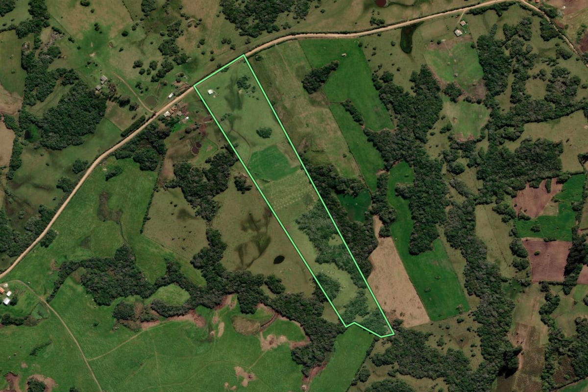 Imagem de satélite do imóvel rural em Canguçu (RS), com o contorno declarado no CAR desenhado por cima.