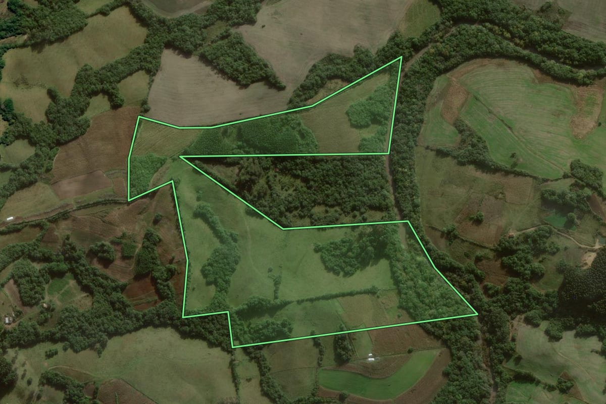 Imagem de satélite do imóvel rural em Canguçu (RS), com o contorno declarado no CAR desenhado por cima.