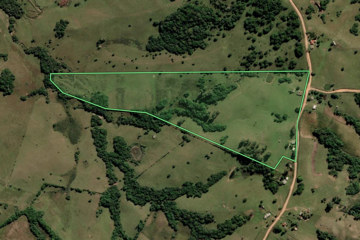 Imagem de satélite do imóvel rural em Canguçu (RS), com o contorno declarado no CAR desenhado por cima.
