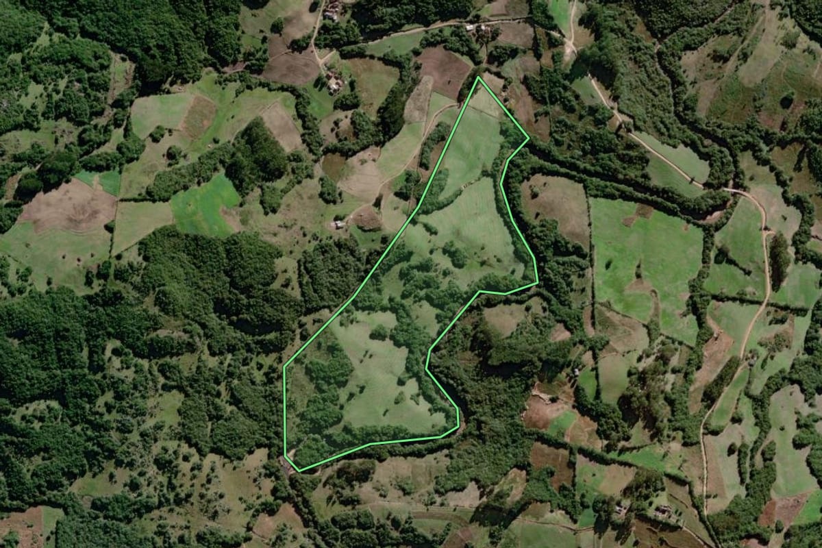 Imagem de satélite do imóvel rural em Canguçu (RS), com o contorno declarado no CAR desenhado por cima.