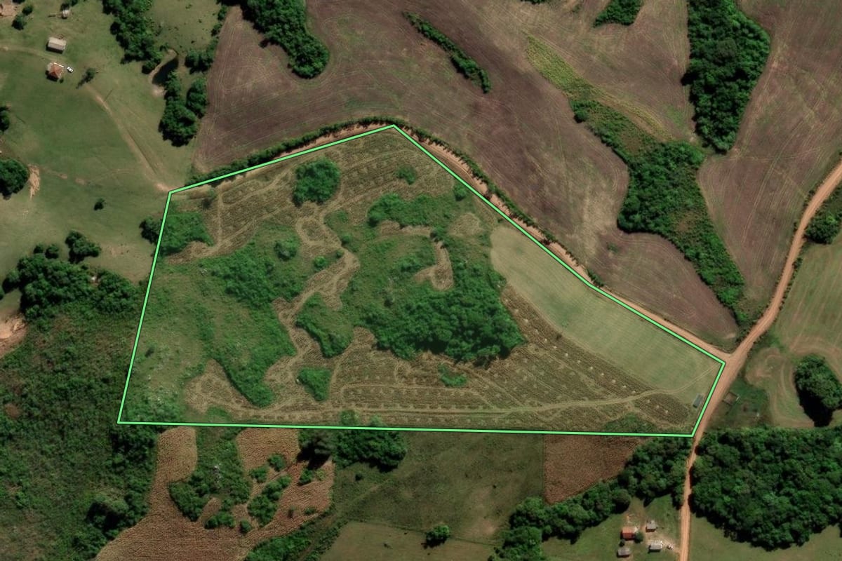 Imagem de satélite do imóvel rural em Canguçu (RS), com o contorno declarado no CAR desenhado por cima.