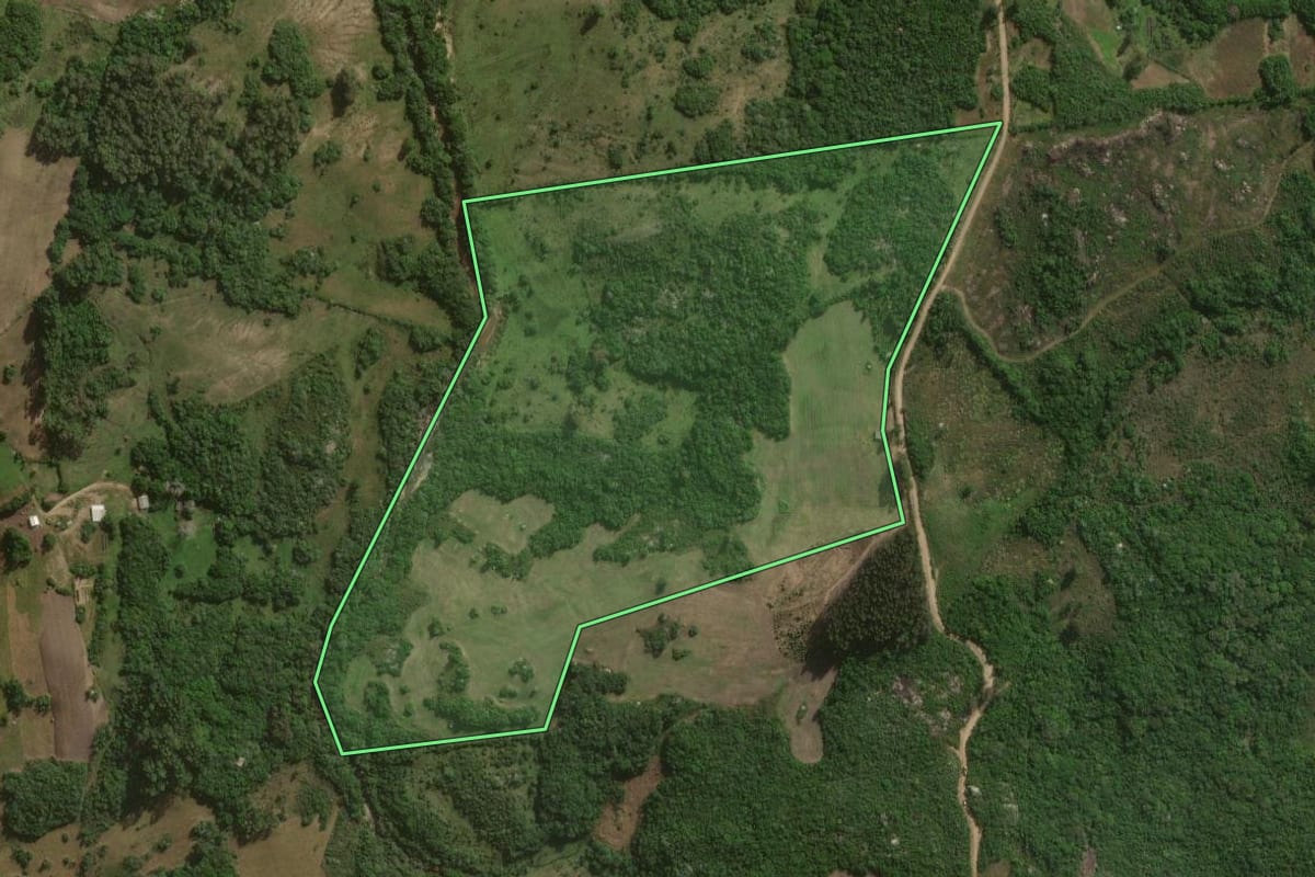 Imagem de satélite do imóvel rural em Canguçu (RS), com o contorno declarado no CAR desenhado por cima.