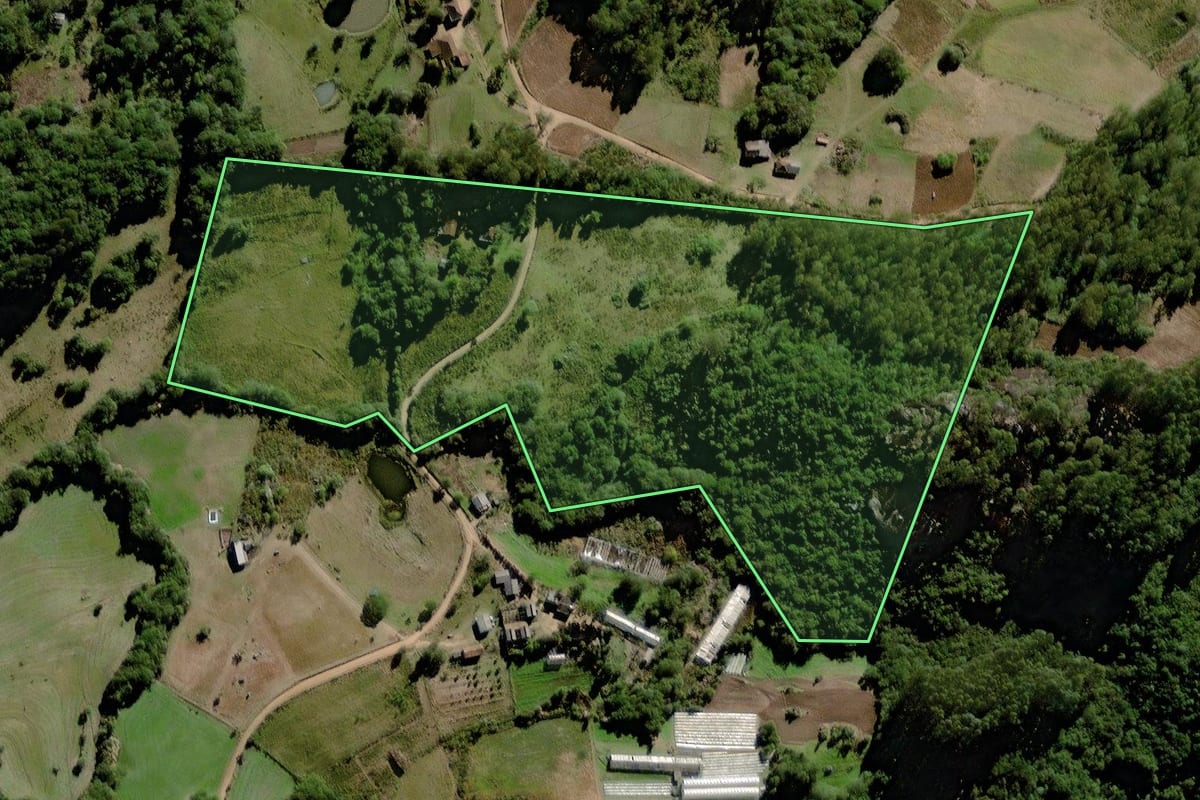 Imagem de satélite do imóvel rural em Canguçu (RS), com o contorno declarado no CAR desenhado por cima.
