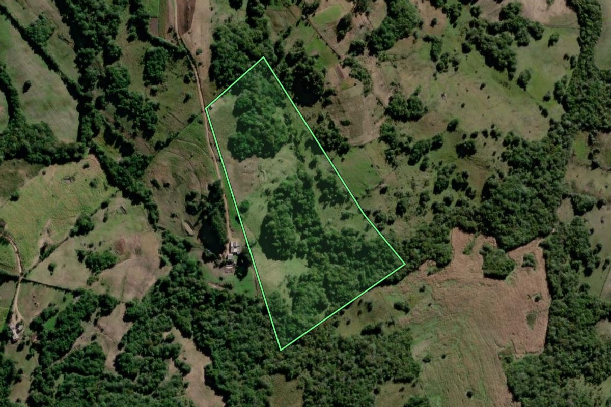 Imagem de satélite do imóvel rural em Canguçu (RS), com o contorno declarado no CAR desenhado por cima.