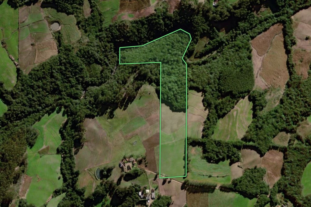 Imagem de satélite do imóvel rural em Canguçu (RS), com o contorno declarado no CAR desenhado por cima.
