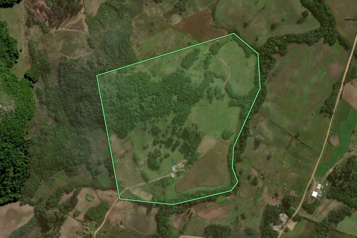 Imagem de satélite do imóvel rural em Canguçu (RS), com o contorno declarado no CAR desenhado por cima.