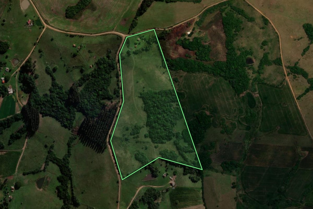 Imagem de satélite do imóvel rural em Canguçu (RS), com o contorno declarado no CAR desenhado por cima.