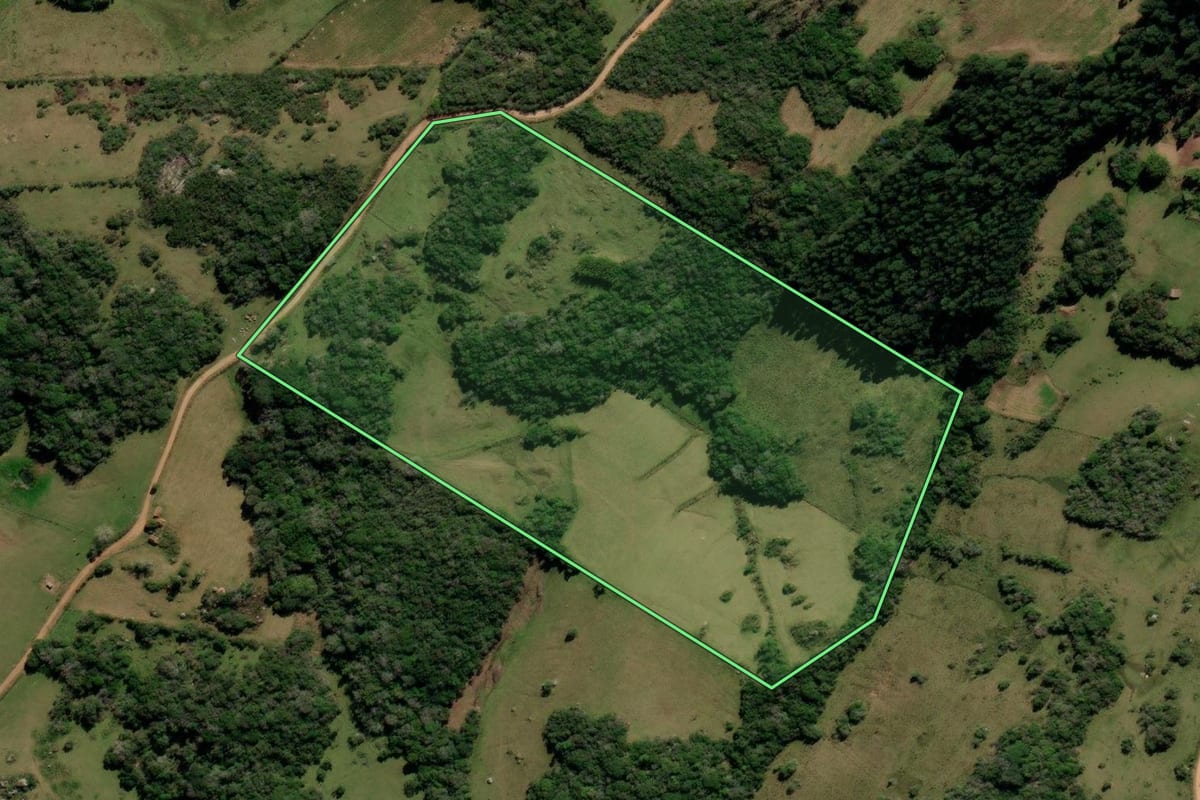 Imagem de satélite do imóvel rural em Canguçu (RS), com o contorno declarado no CAR desenhado por cima.