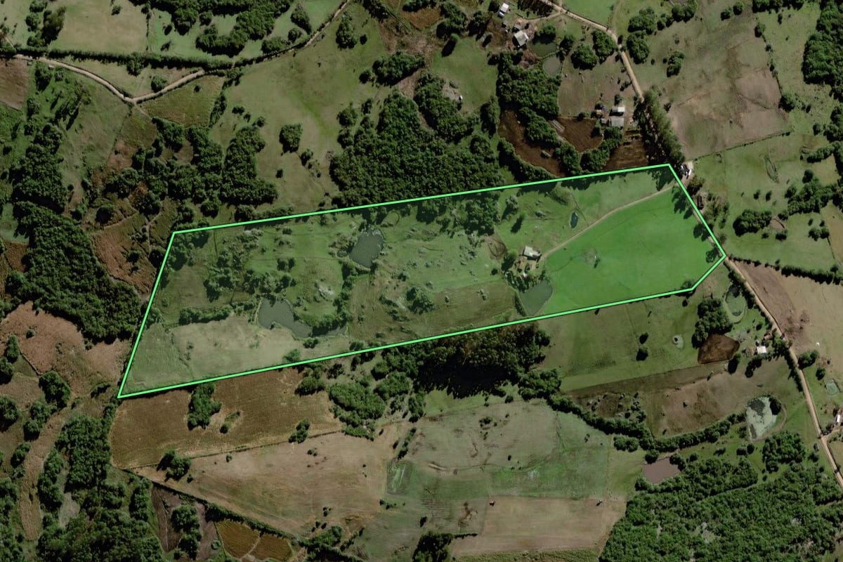Imagem de satélite do imóvel rural em Canguçu (RS), com o contorno declarado no CAR desenhado por cima.