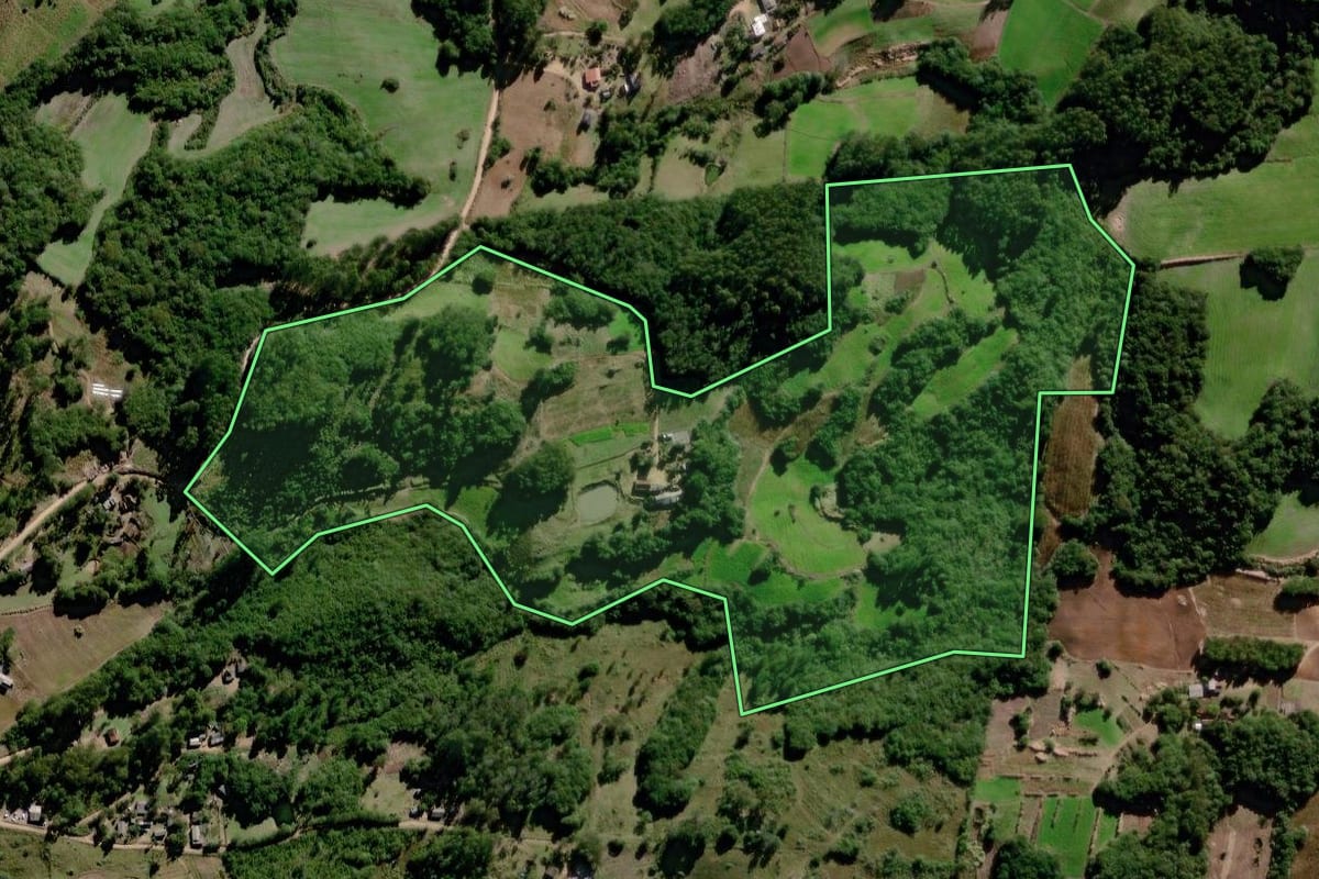 Imagem de satélite do imóvel rural em Canguçu (RS), com o contorno declarado no CAR desenhado por cima.