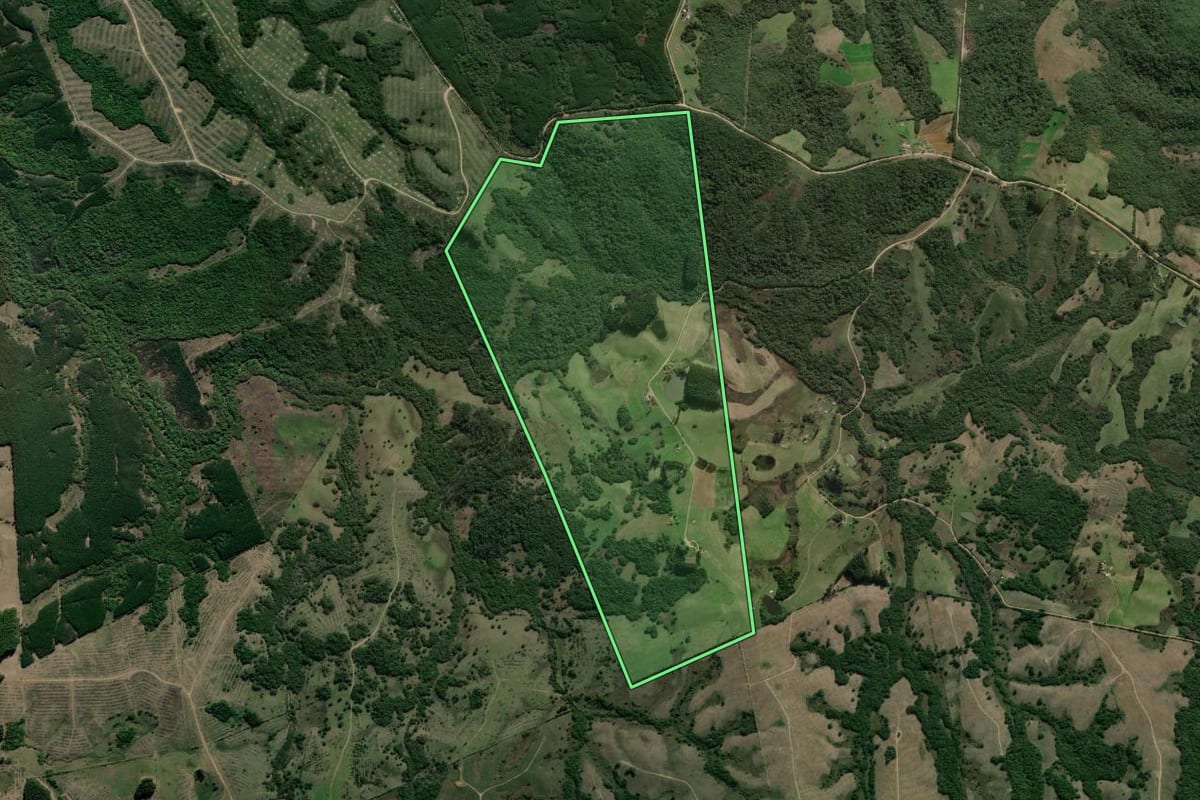 Imagem de satélite do imóvel rural em Canguçu (RS), com o contorno declarado no CAR desenhado por cima.