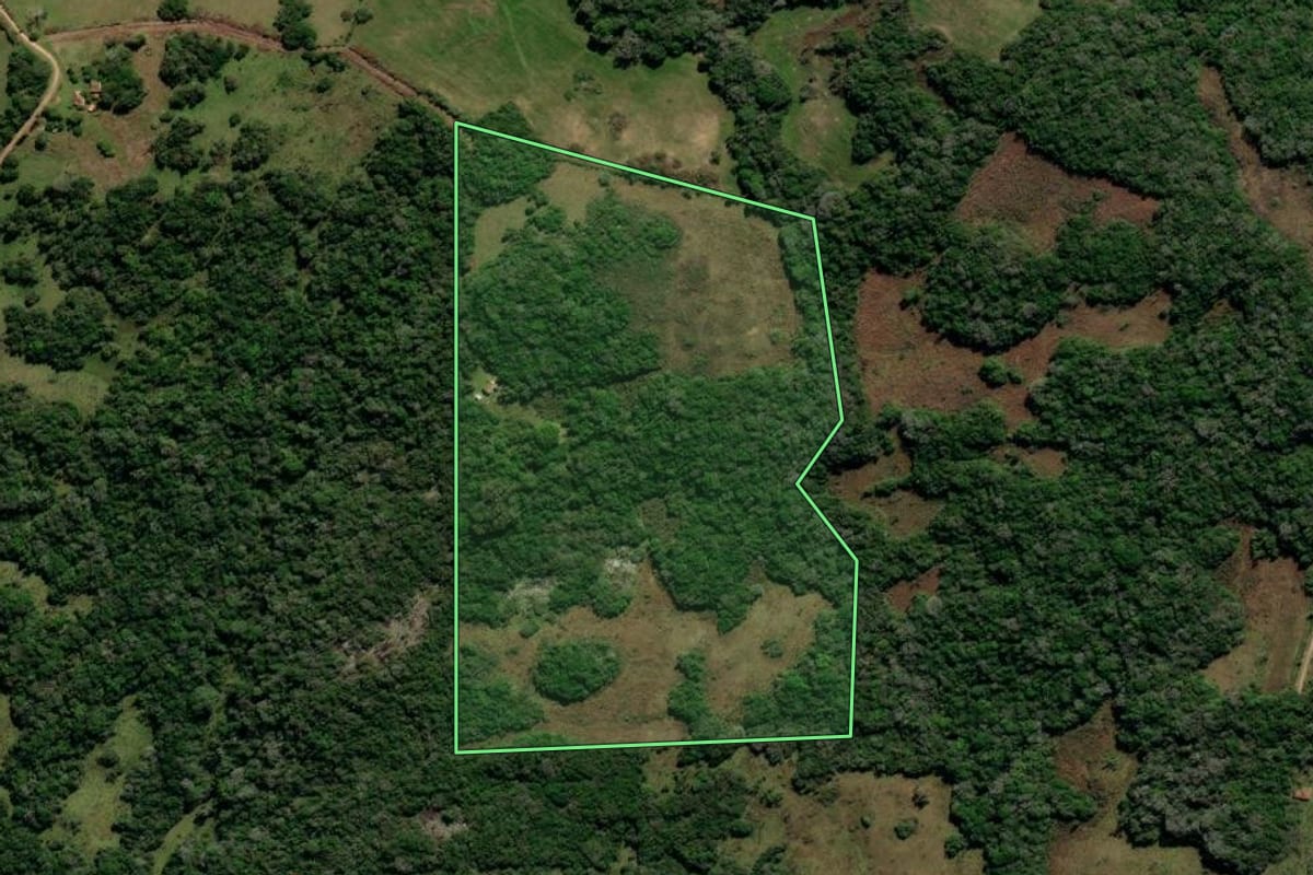 Imagem de satélite do imóvel rural em Canguçu (RS), com o contorno declarado no CAR desenhado por cima.